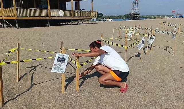 Manavgat'ta caretta caretta yavrularına koruma nöbeti