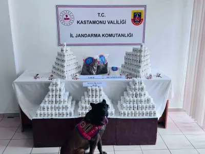 Kastamonu'da Binlerce Uyuşturucu Hap ve Maddeyle Yakalanan Sanığın Yargılaması Sürüyor