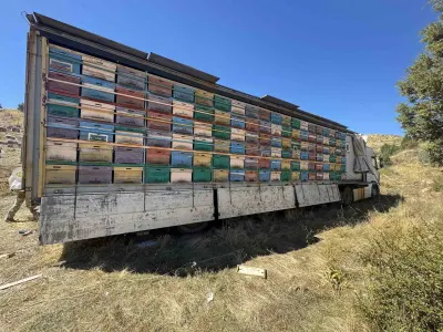 2200 Rakımlı Yaylalarda ‘Bal Tırı’ ile Doğal Üretim
