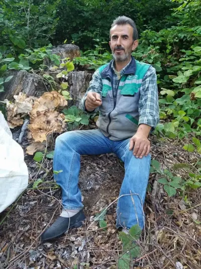 Sinop'ta Traktör Kazası: Orman İşçisi Fahri Can Hayatını Kaybetti