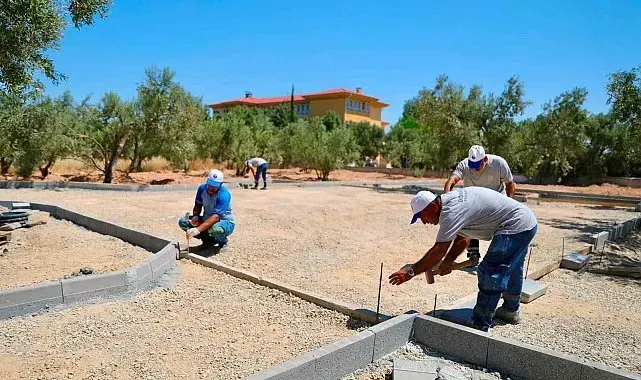 Didim'de Zeytin Park Projesi hayata geçirilecek