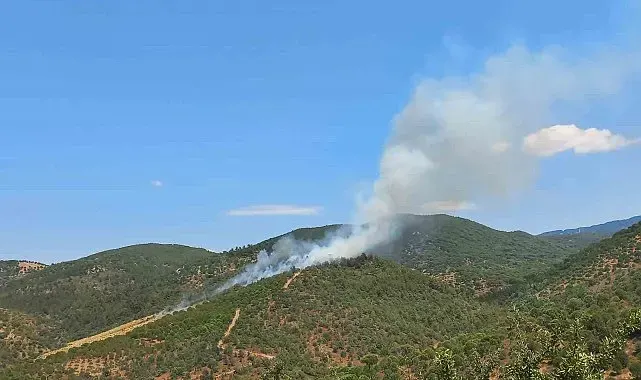 Burhaniye'de çıkan orman yangını kontrol altına alındı