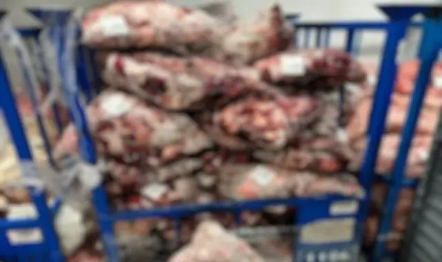 Lüleburgaz'da uygunsuz şartlarda saklanan 4 ton 600 kilo ete el konuldu