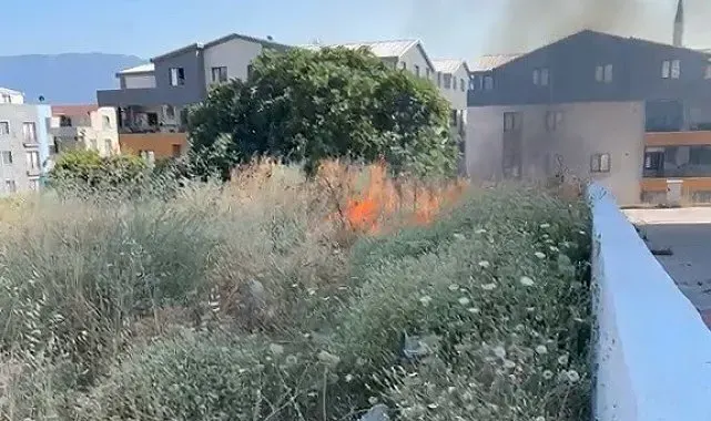 Bursa'da otluk alanda çıkan yangın söndürüldü