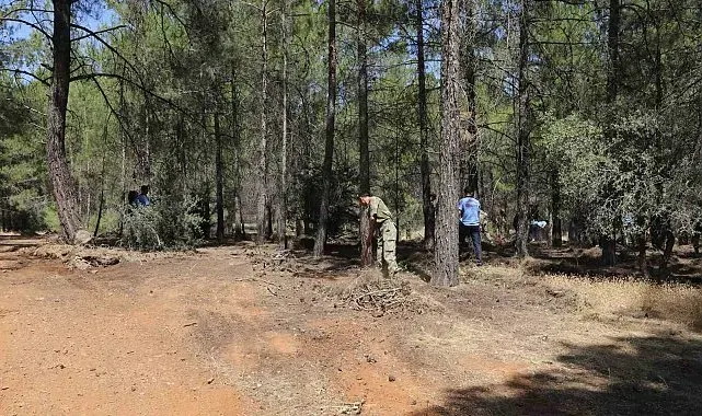 Gaziantep Büyükşehir'den orman yangınlarına karşı önleyici seferberlik