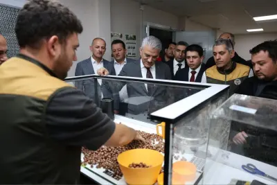 Düzce Valisi Mehmet Makas Çilimli TMO Fındık Alım Merkezini Denetledi