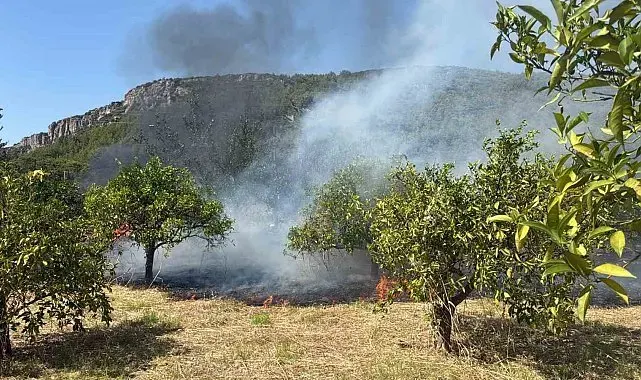 Marmaris'te otluk alan yangını