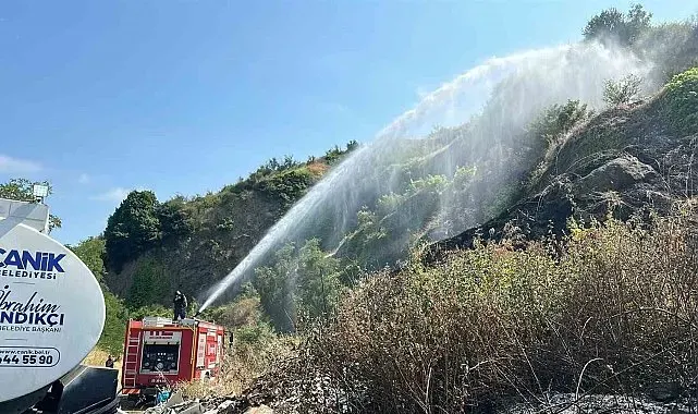 Samsun'da otluk alan yangını: 10 dönüm alan zarar gördü
