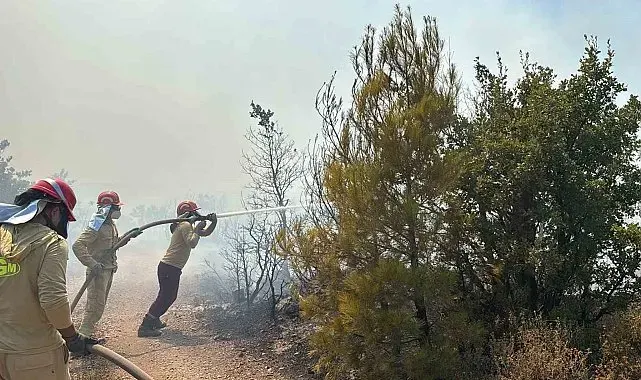 Gömeç'te orman yangınına havadan ve karadan yoğun müdahale