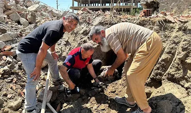 Yıkım halindeki binada mahsur kalan 8 yavru köpeği itfaiye kurtardı