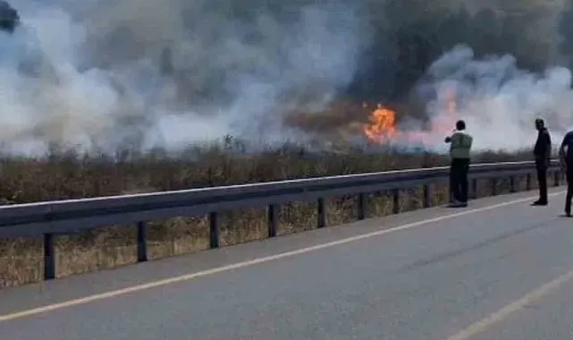 Sultangazi'de otluk alanda çıkan yangın ormana sıçradı