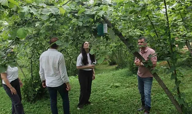 Karadeniz Havzası'nda 3 ülkeden tarımsal iş birliği