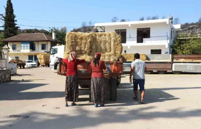 Aksu Belediyesi'nden Yangın Bölgesindeki Üreticilere Saman Desteği