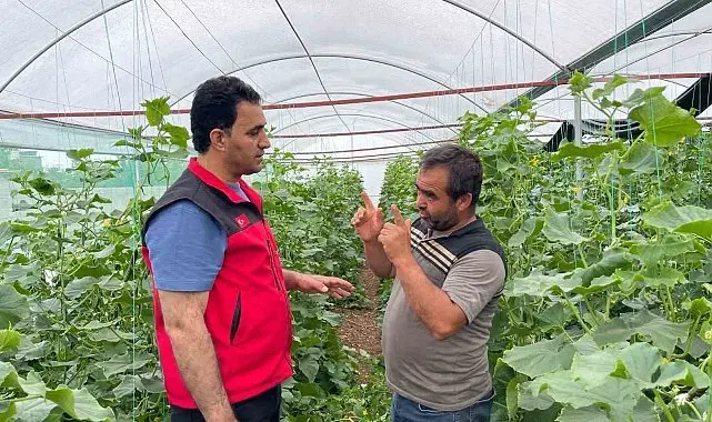 Sulu tarım mevsimlik tarım işçiliğini bitirdi