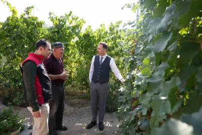 Üzümlü Kaymakamı Hökelekli'den Üzüm Bahçesi ve Erken Uyarı Sistemi İncelemesi