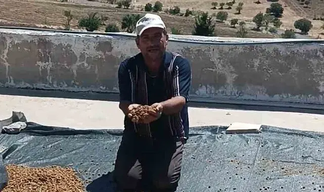 Çermik'te dutlar pazardaki yerini aldı