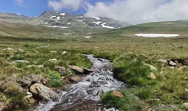 Ordu'nun yaylalarında yaz güzelliği