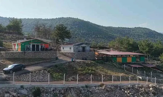 Kozan'da hedef sıfır sahipsiz sokak hayvanı
