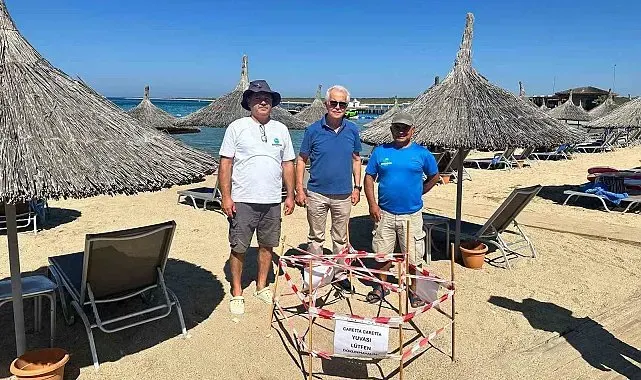 Didim'de 5 yıl sonra aynı plaja dönen caretta yeniden yuva yaptı