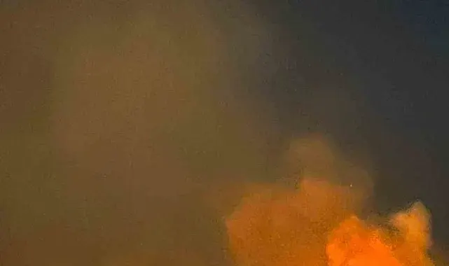 Elazığ'da dağlık alanda yangın paniği