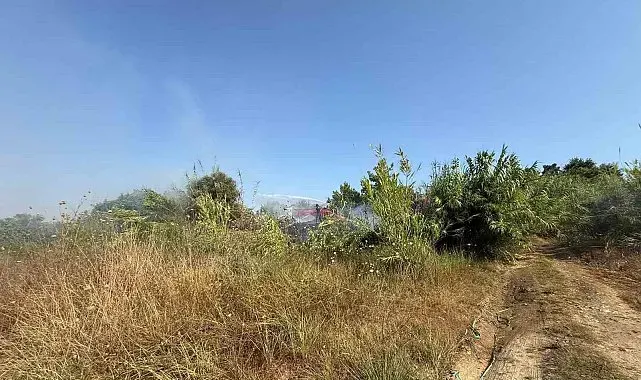 Manavgat'ta kamışlık alanda çıkan yangın söndürüldü