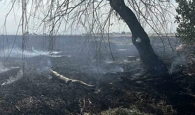 Konya'da anız yangını paniği