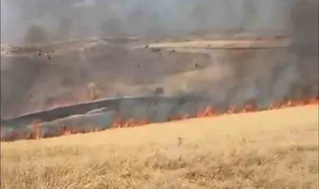 Ankara'da çıkan ot yangını kontrol altına alındı