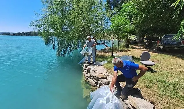 Manavgat'ta 400 bin balık yavrusu baraj gölünde bırakıldı