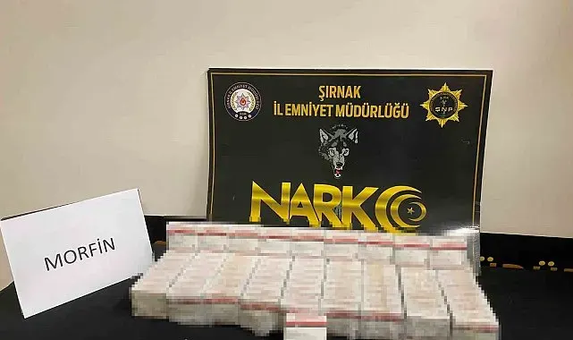 Şırnak'ta 1 milyon 950 bin liralık kaçak ürün ve uyuşturucu ele geçirildi: 6 tutuklama