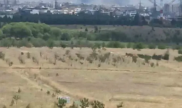 Ankara'daki ot yangını kontrol altına alındı