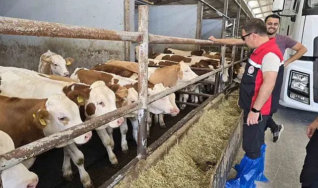 Orhaneli'de hayvan yetiştiren işletmeler kontrol edildi