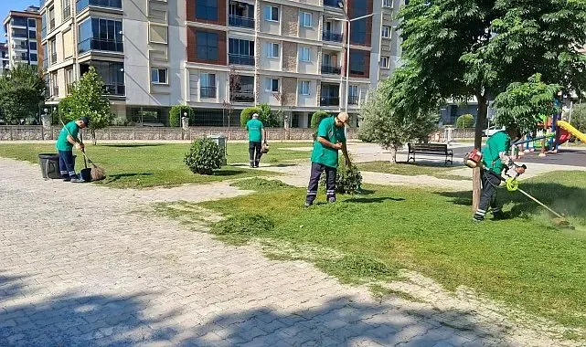 Efeler'de parklar ve yeşil alanlar bakımdan geçiriliyor