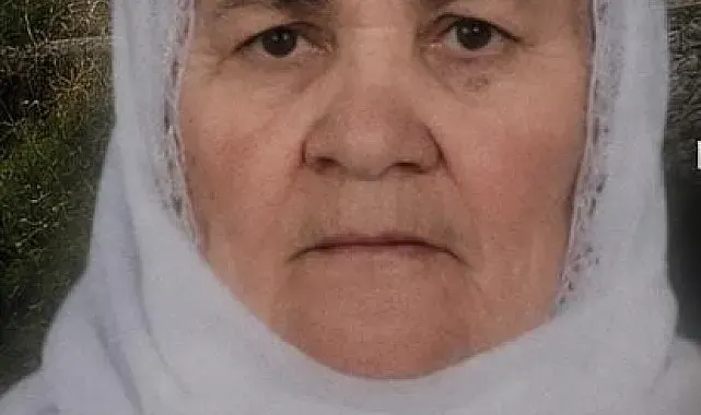 Tatvan'da trenin çarptığı yaşlı kadın hayatını kaybetti