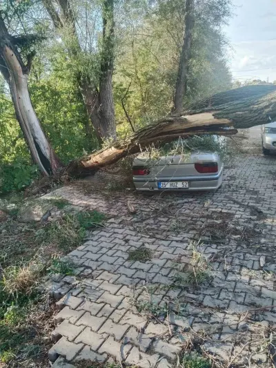 Konya Beyşehir'de Şiddetli Fırtına: Söğüt Ağacı Otomobilin Üzerine Devrildi