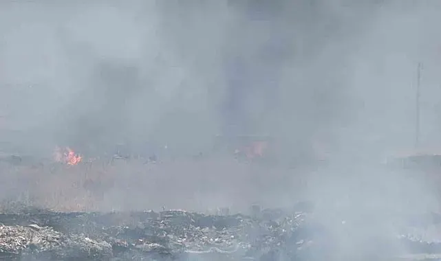 Diyarbakır'da otluk alanda korkutan yangın