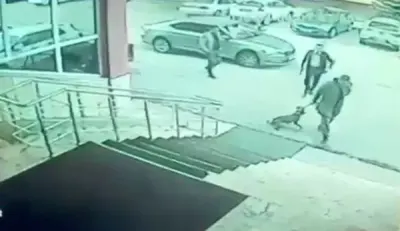 Erzurum Palandöken Kaymakamı ve Korumasına Yönelik İnceleme Başlatıldı