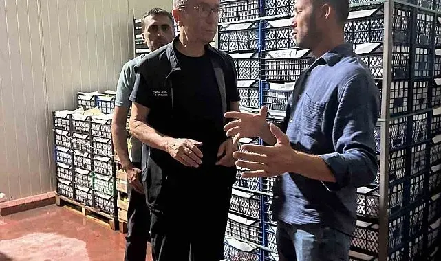 Bilecik'teki soğuk hava deposunda inceleme