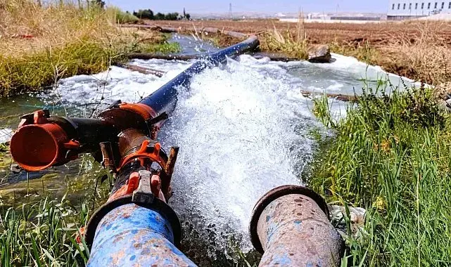 Güneydoğu'da kaçak elektrikle tarımsal sulama enerji arzını tehdit ediyor