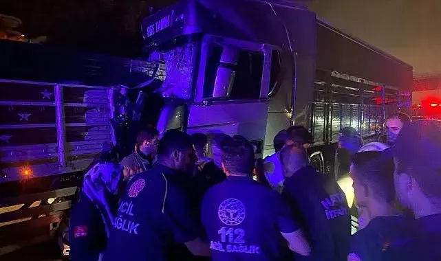 İskenderun'da trafik kazası: 1 yaralı