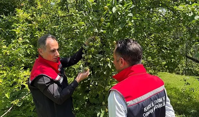 Kars'ta meyveciliğe güç katacak ziyaret: Enver Aydın'dan Sarıkamış'ta verimli üretim için 5 altın tavsiye