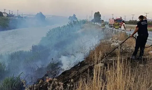 Antakya'da Asi Nehri kenarında sazlık yangını