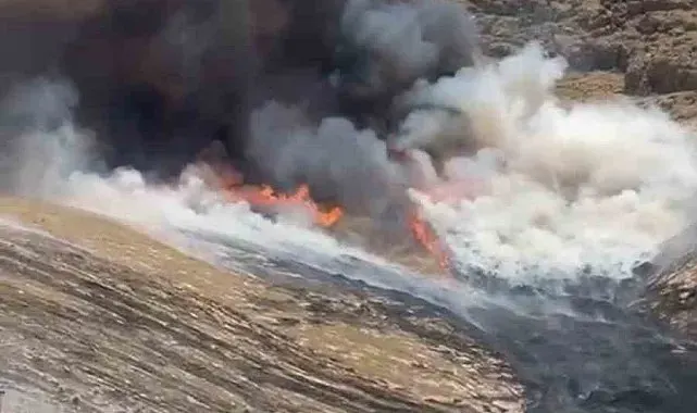 Mardin'de çıkan ot yangını söndürüldü