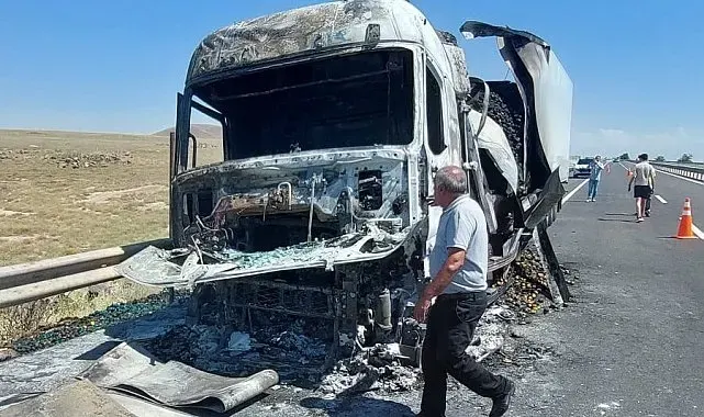 Seyir halindeki sebze yüklü tır yandı