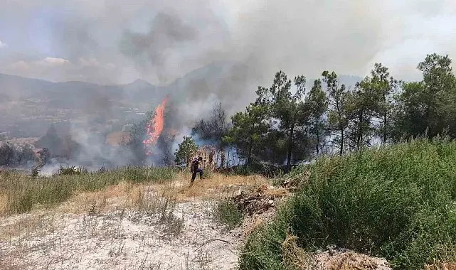 Elektrik direğinden çıkan yangın korkuttu