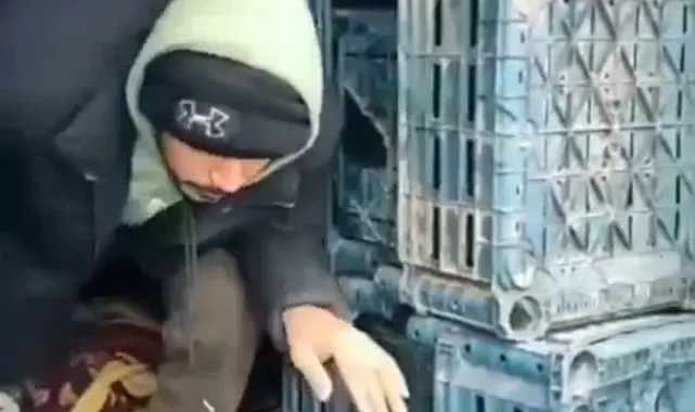 Düzce'de 1 düzensiz göçmen yakalandı