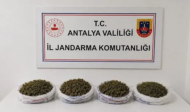 Evde yapılan aramada 1 kilo 979 gram kubar esrar ele geçirildi