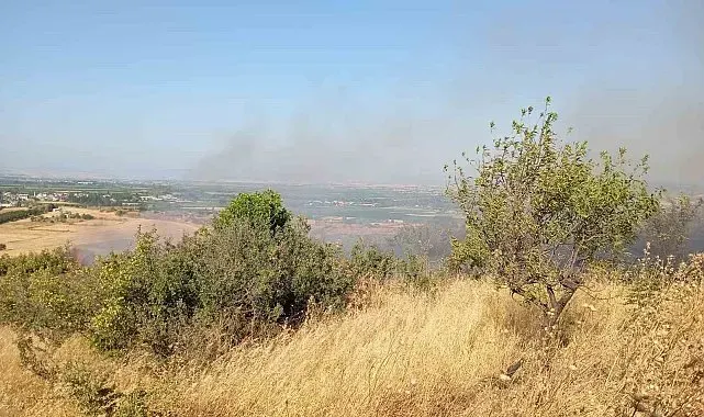Balıkesir'de arazi yangınına Orman ve itfaiye ekipleri müdahale etti