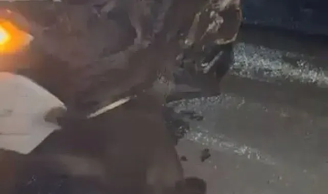 Elazığ'da domuza çarpan cip, hasar aldı