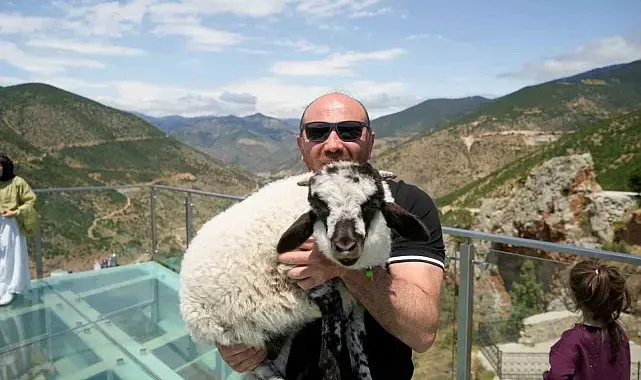 Gümüşhane'de cam seyir terasının sevimli ziyaretçisi