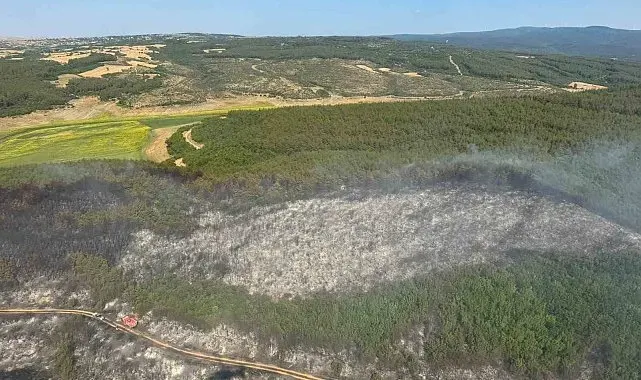 Tekirdağ'da orman yangını: Ekipler havadan ve karadan seferber oldu